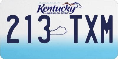 KY license plate 213TXM