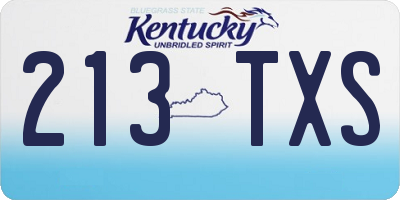 KY license plate 213TXS