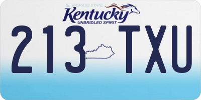 KY license plate 213TXU