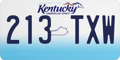 KY license plate 213TXW