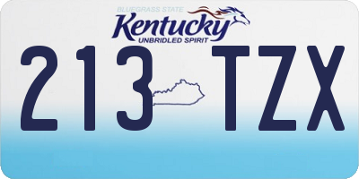 KY license plate 213TZX