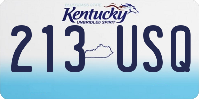 KY license plate 213USQ