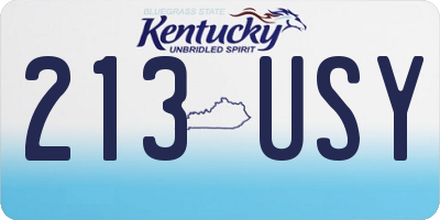 KY license plate 213USY