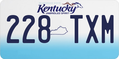 KY license plate 228TXM