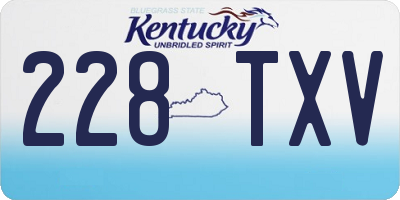 KY license plate 228TXV