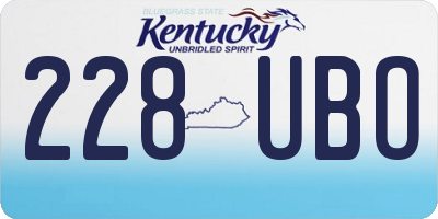 KY license plate 228UBO
