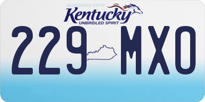 KY license plate 229MXO