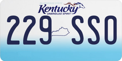 KY license plate 229SSO