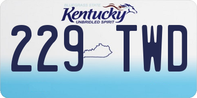 KY license plate 229TWD