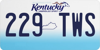 KY license plate 229TWS