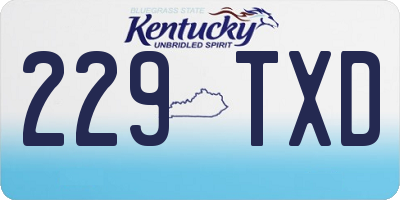 KY license plate 229TXD