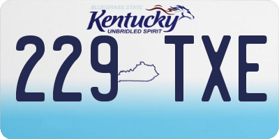 KY license plate 229TXE