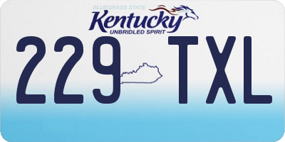 KY license plate 229TXL