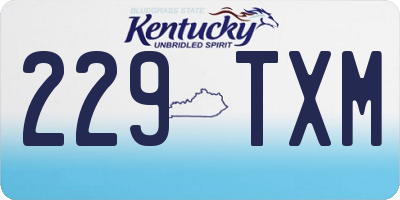 KY license plate 229TXM