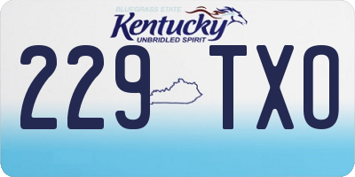 KY license plate 229TXO