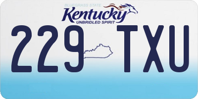 KY license plate 229TXU