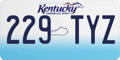 KY license plate 229TYZ