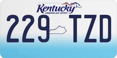 KY license plate 229TZD