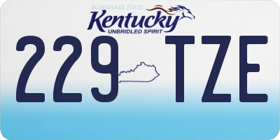 KY license plate 229TZE