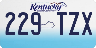 KY license plate 229TZX