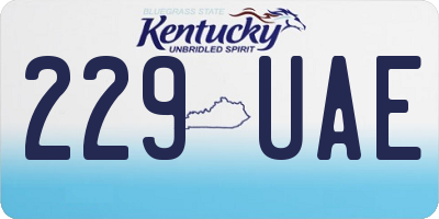 KY license plate 229UAE