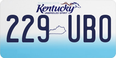KY license plate 229UBO