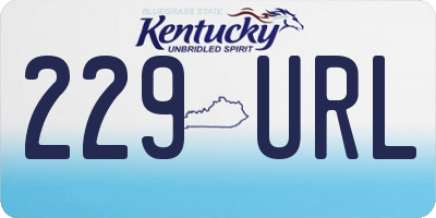 KY license plate 229URL