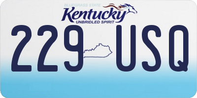 KY license plate 229USQ