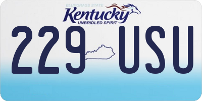 KY license plate 229USU