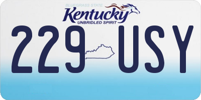 KY license plate 229USY