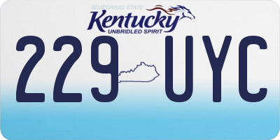 KY license plate 229UYC