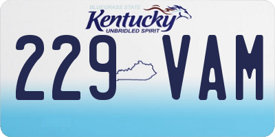 KY license plate 229VAM