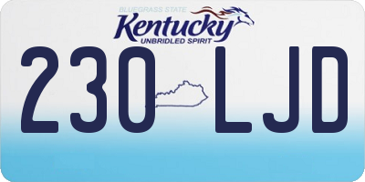 KY license plate 230LJD