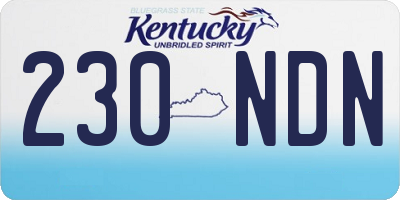KY license plate 230NDN