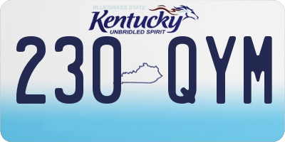 KY license plate 230QYM