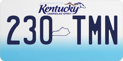 KY license plate 230TMN