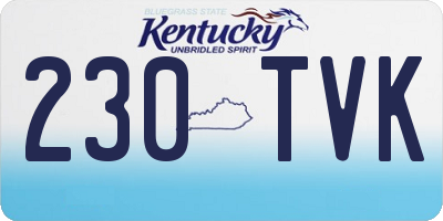 KY license plate 230TVK