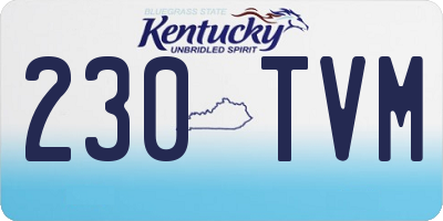KY license plate 230TVM