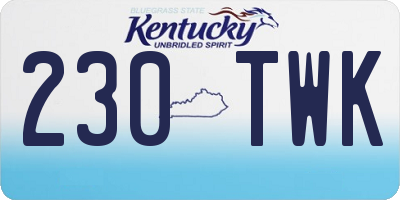 KY license plate 230TWK