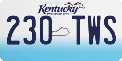 KY license plate 230TWS