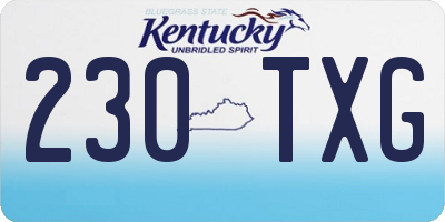KY license plate 230TXG