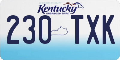 KY license plate 230TXK