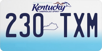 KY license plate 230TXM