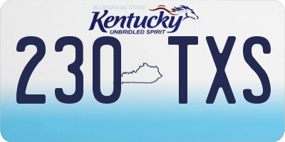 KY license plate 230TXS