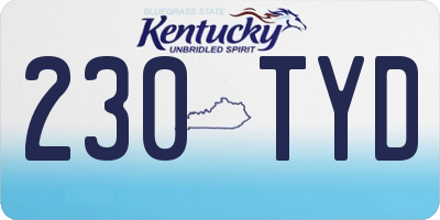 KY license plate 230TYD