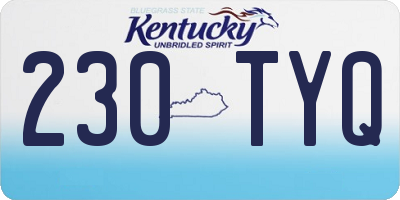 KY license plate 230TYQ
