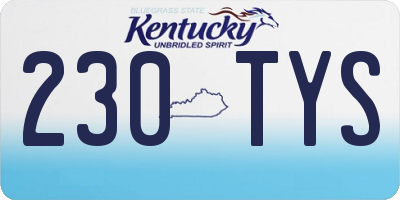 KY license plate 230TYS