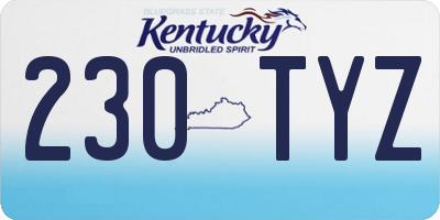 KY license plate 230TYZ