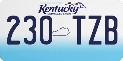 KY license plate 230TZB