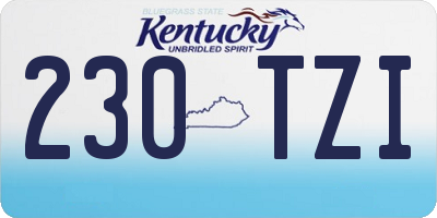 KY license plate 230TZI